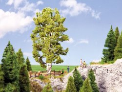 EXTRA HÖG BJÖRK 0 och H0