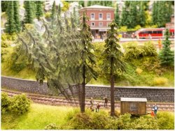 micro-motion Fallender Baum “Wetterfichte”