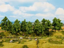 Lövträd 6 st 14-18 cm, för skala O H0 TT