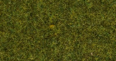 Widgras ÄngsGrön 9 mm 50 gram