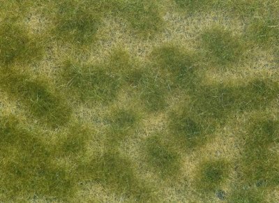 Foliage Markvegetation Grön/Beige 12 x 18 cm