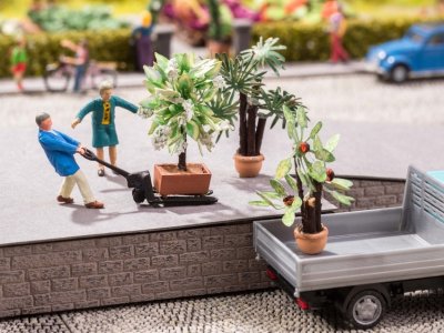 Palmer 3 st i kruka H0