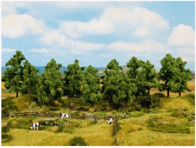 Lövträd 16 st 4-10 cm H0 TT N Z