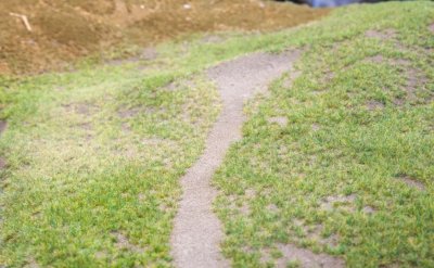 Gras-Master 3.0 PROFI ‘Limited Edition‘